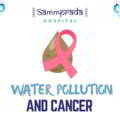 Water pollution and cancer